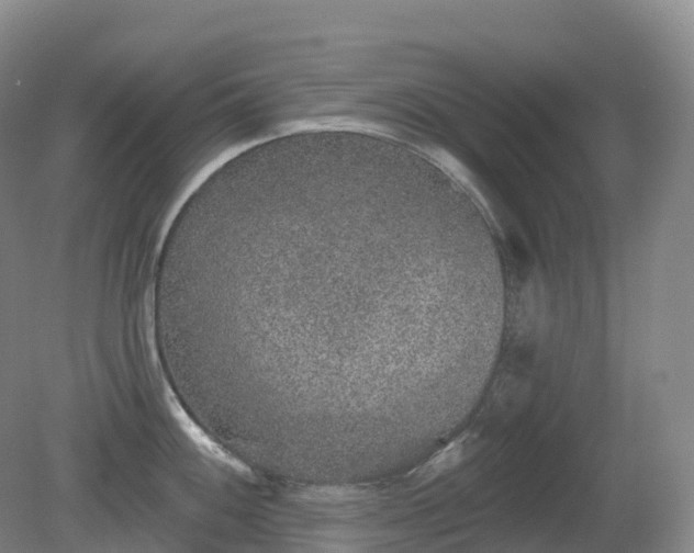 X0000081321100200701181922