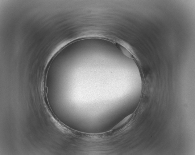 X0000081321101200701181922