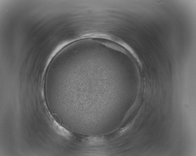 X0000081321102200701181922