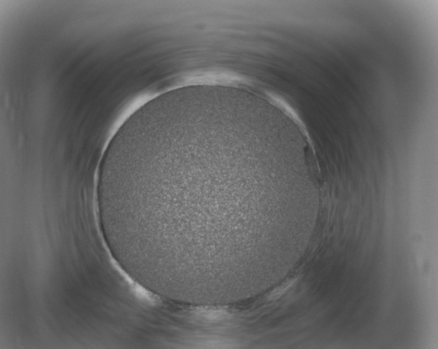 X0000081321103200701181922