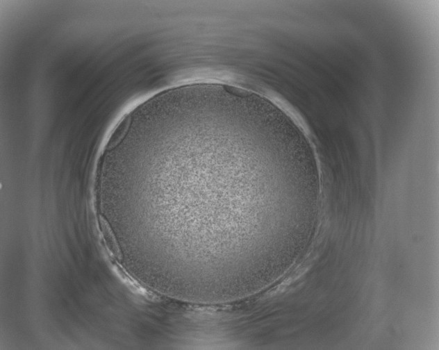 X0000081321104200701181922