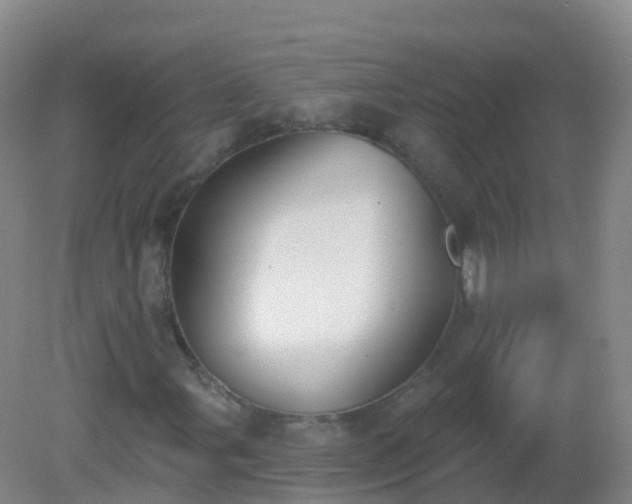 X0000081321107200701181921