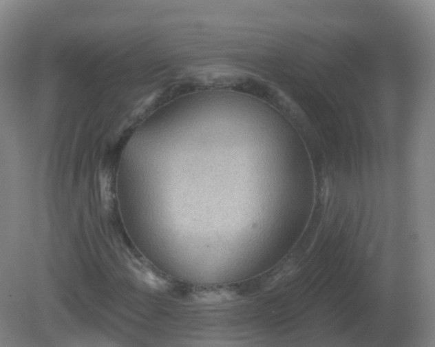 X0000081321108200701181921