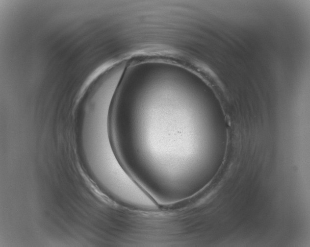X0000081321114200701181921