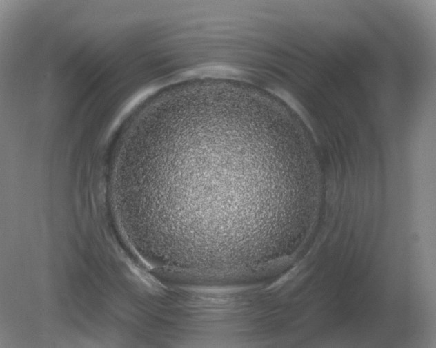 X0000081321115200701181921