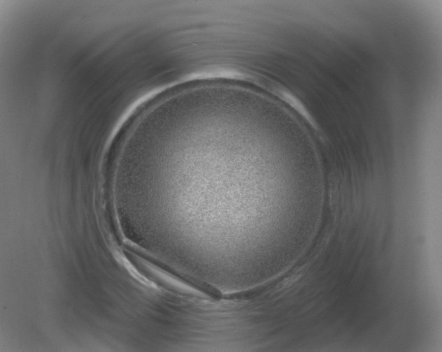 X0000081321116200701181921