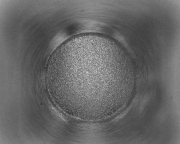 X0000081321121200701181921