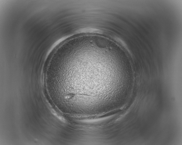 X0000081321125200701181921