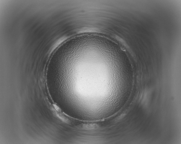 X0000081321129200701181921