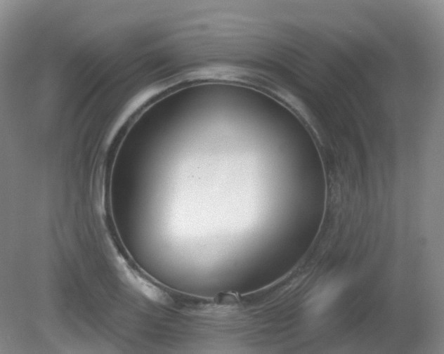 X0000081321131200701181921