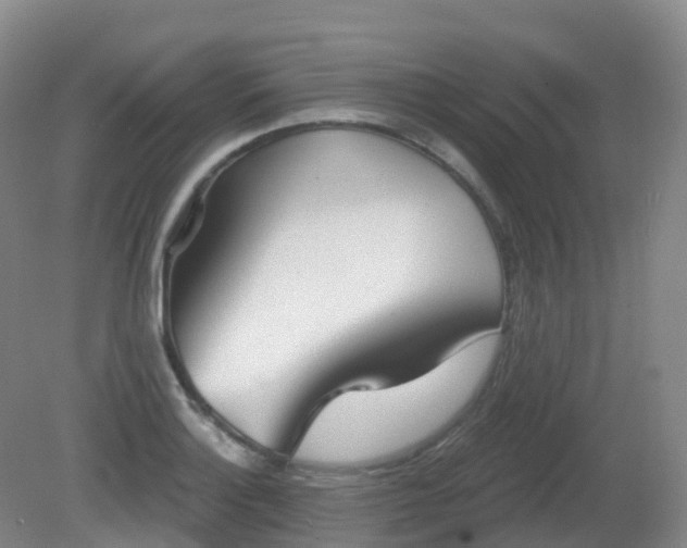 X0000081321132200701181921