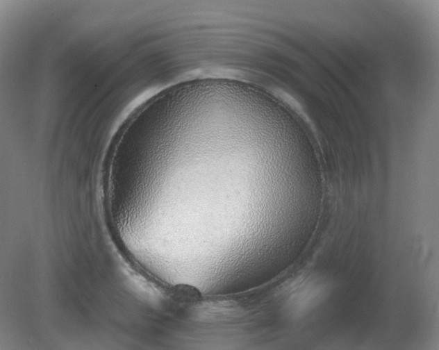 X0000081321133200701181921