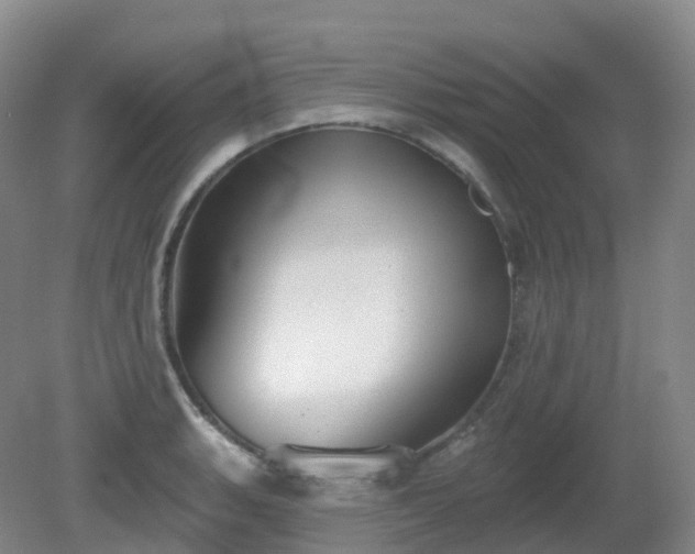 X0000081321135200701181921