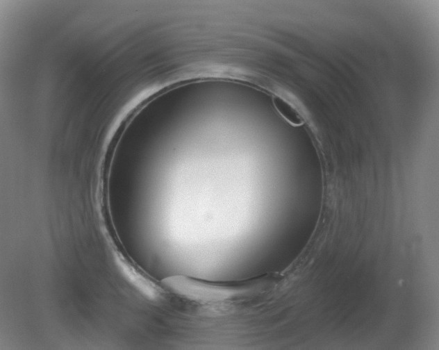 X0000081321136200701181921