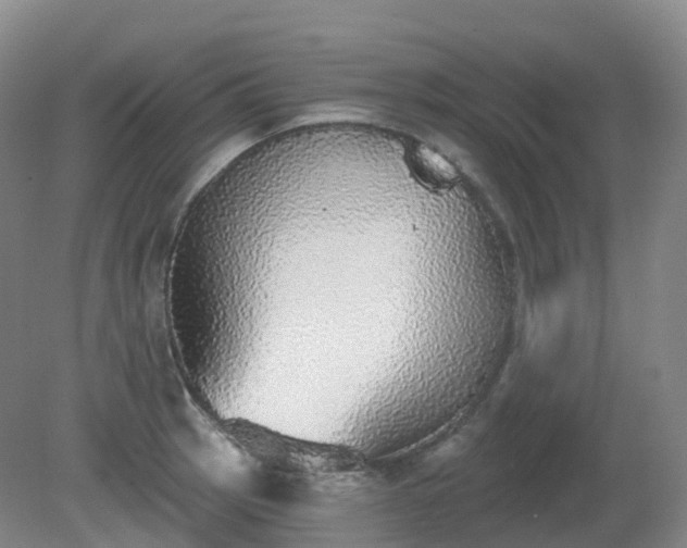 X0000081321137200701181921