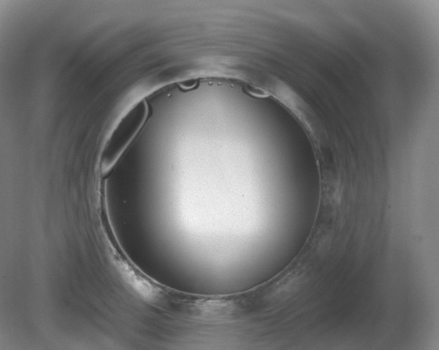 X0000081321140200701181921