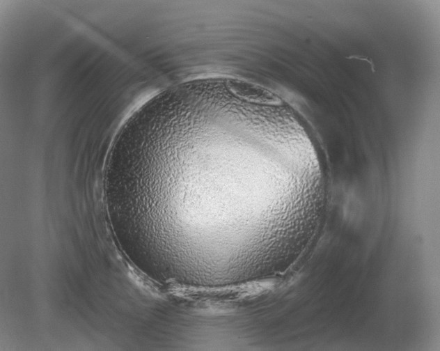 X0000081321145200701181921