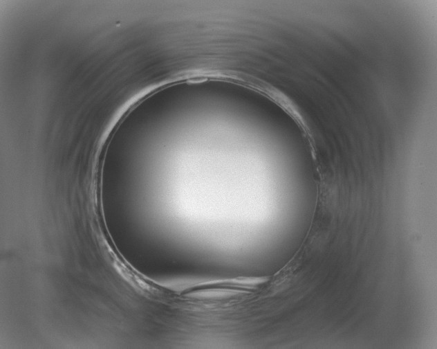 X0000081321148200701181921