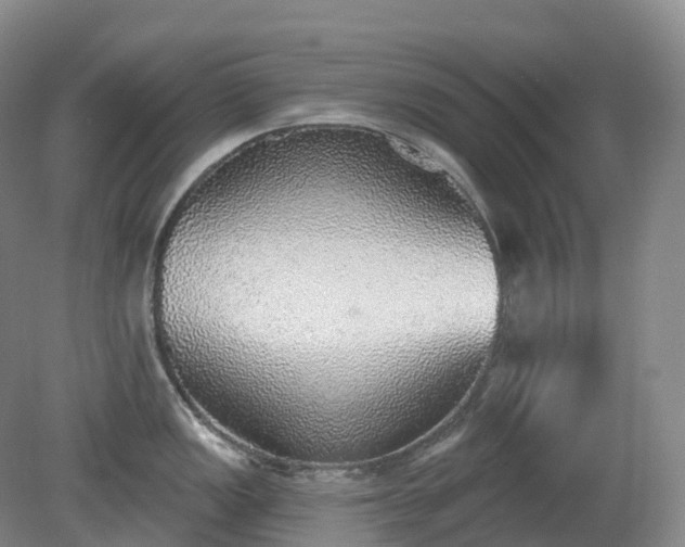 X0000081321149200701181921