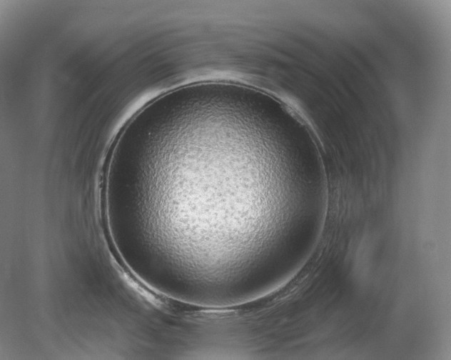 X0000081321151200701181921