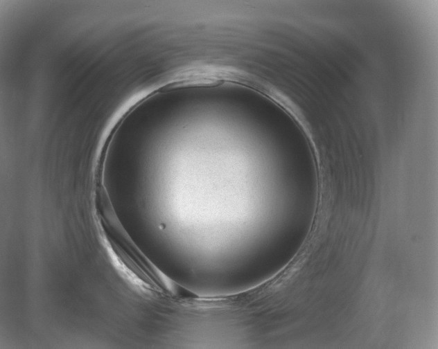 X0000081321152200701181921