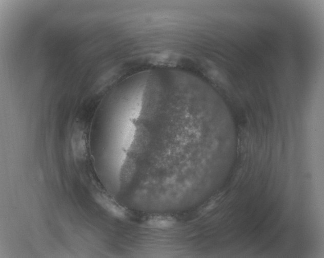 X0000081321154200701181921