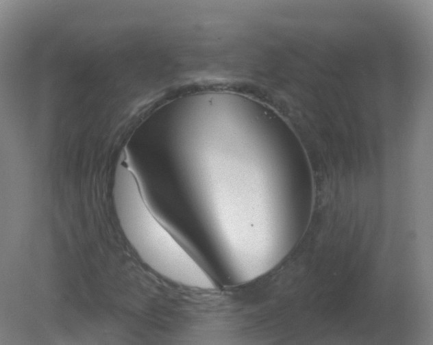 X0000081321157200701181921