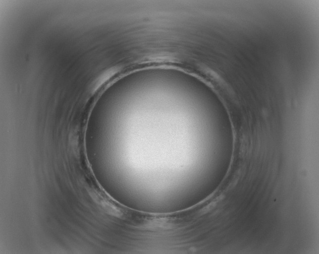 X0000081321162200701181921