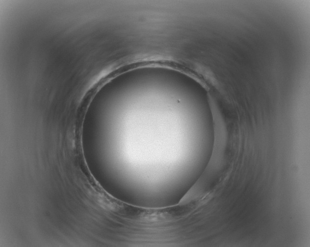 X0000081321165200701181920