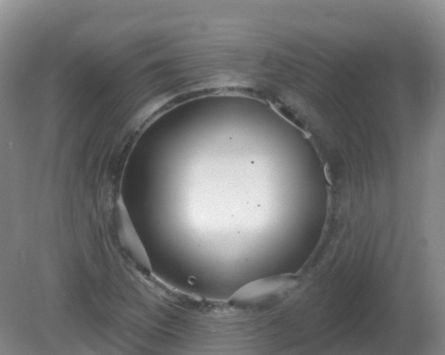 X0000081321169200701181920