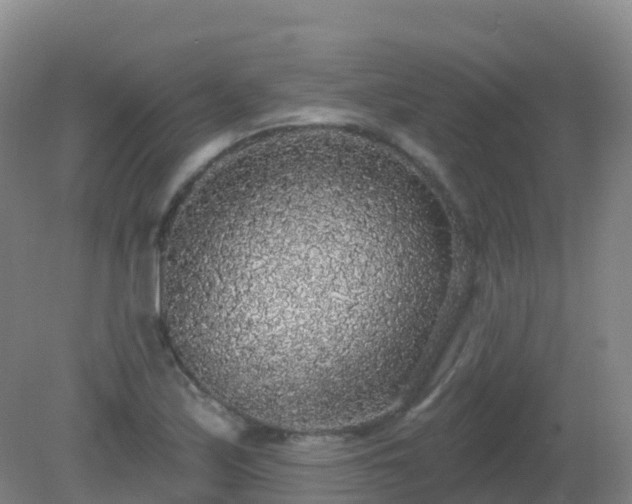 X0000081321171200701181920