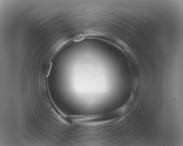 X0000081321177200701181920