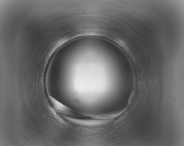 X0000081321181200701181920