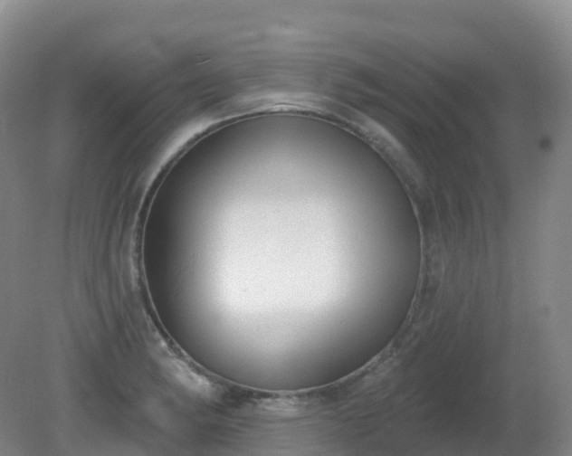 X0000081321182200701181920