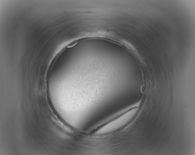X0000081321184200701181920