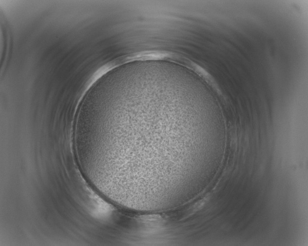 X0000081321186200701181920