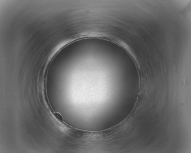 X0000081321187200701181920