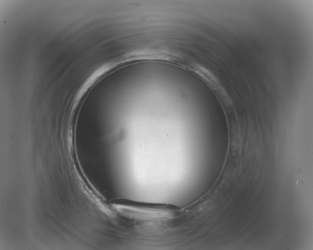 X0000081321188200701181920