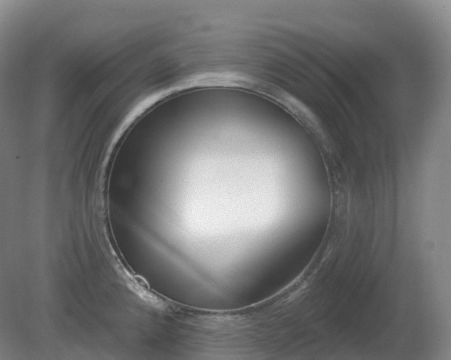 X0000081321192200701181920