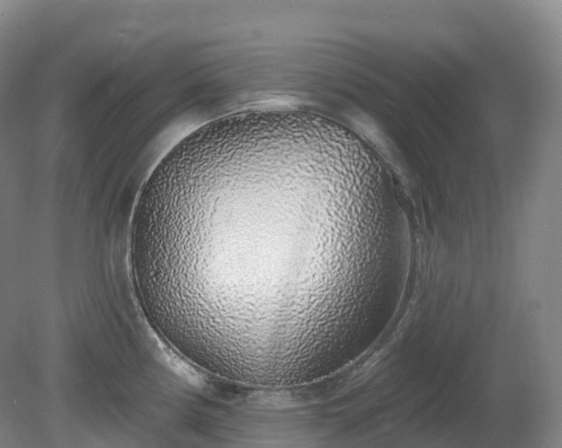 X0000081321194200701181920