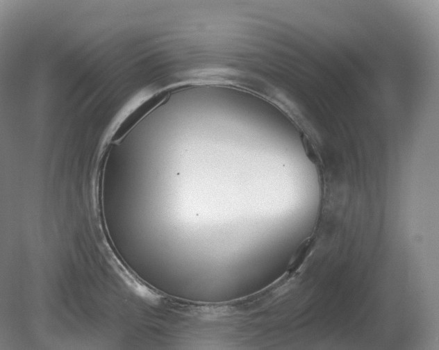 X0000081321196200701181920