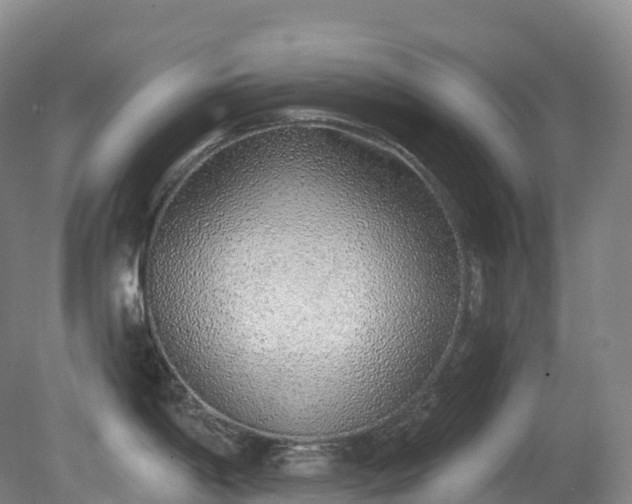 X0000081321198200701181920
