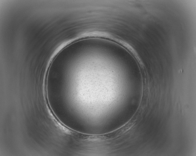 X0000081321199200701181920