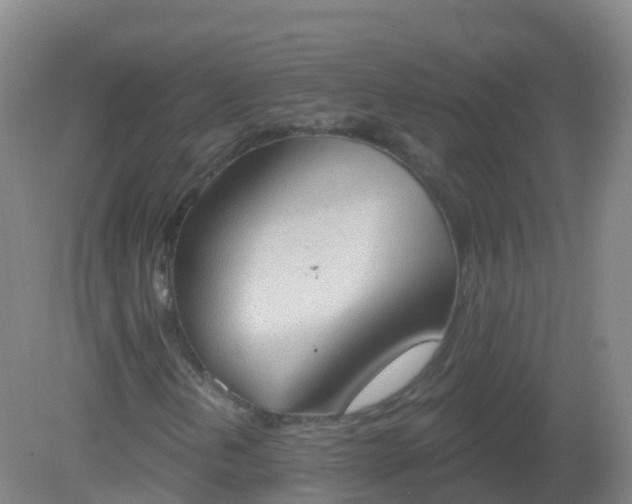 X0000081321202200701181919