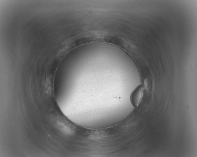 X0000081321203200701181919