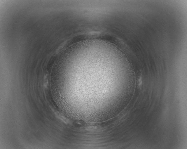 X0000081321204200701181919