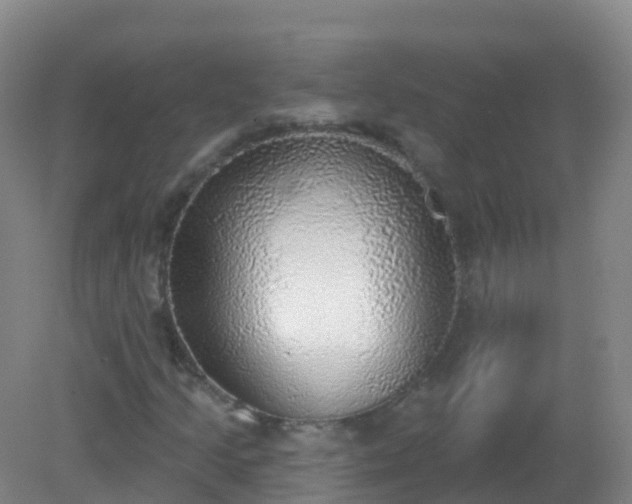 X0000081321205200701181919