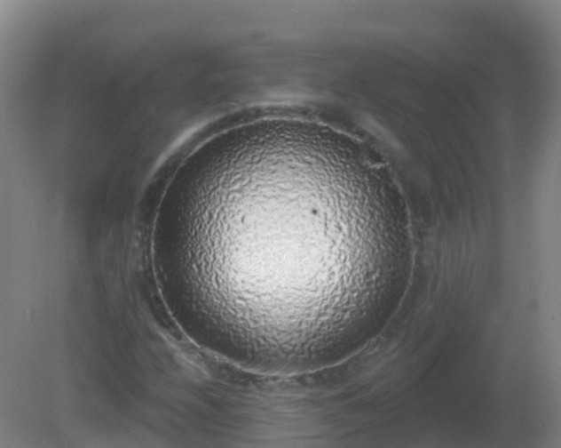 X0000081321208200701181919