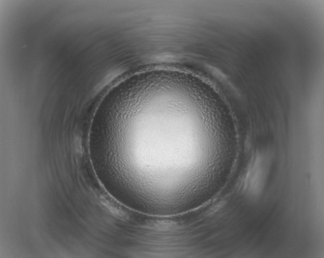 X0000081321209200701181919