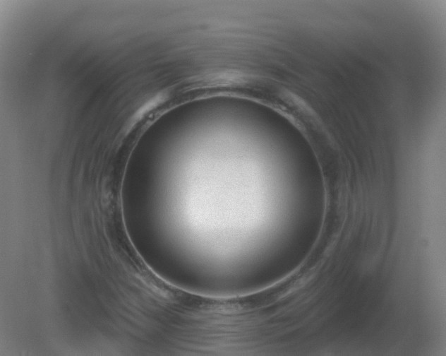 X0000081321210200701181919